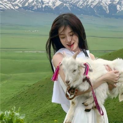 摇曳露营